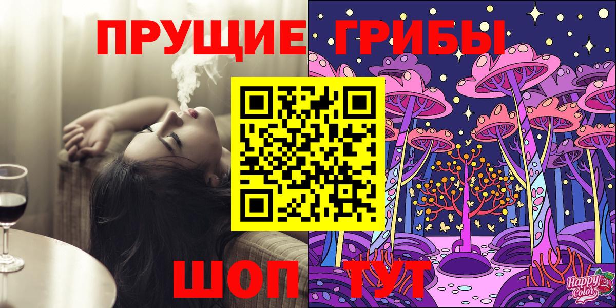 Псилоцибиновые грибы Psilocybine cubensis Шелехов