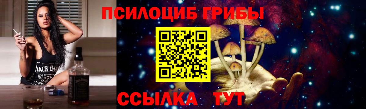 наркотики  Галлюциногенные грибы MAGIC MUSHROOMS  Вход с VPN  Шелехов 